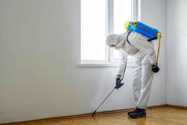 Best Real Estate Pest Inspections  in Albany, OR